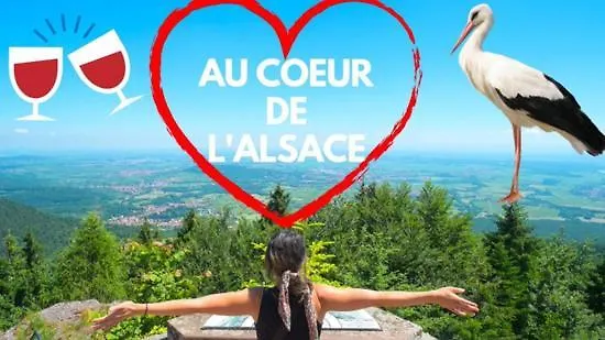Plaisirs D\'Alsace - Munster - Colmar - Route Du Vin
