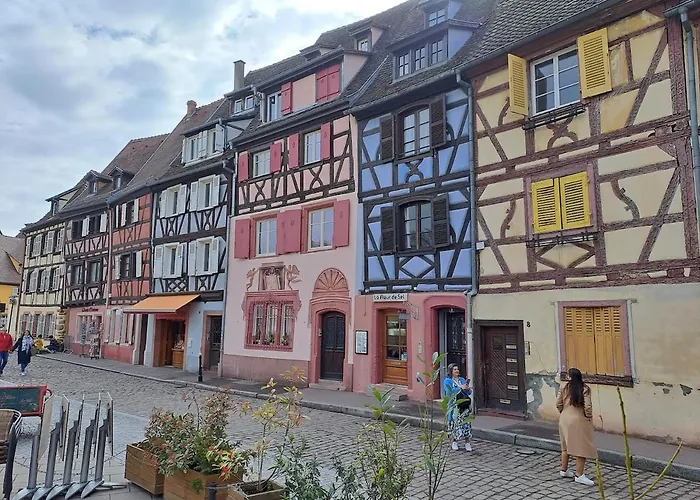 Plaisirs D\'Alsace - Munster - Colmar - Route Du Vin