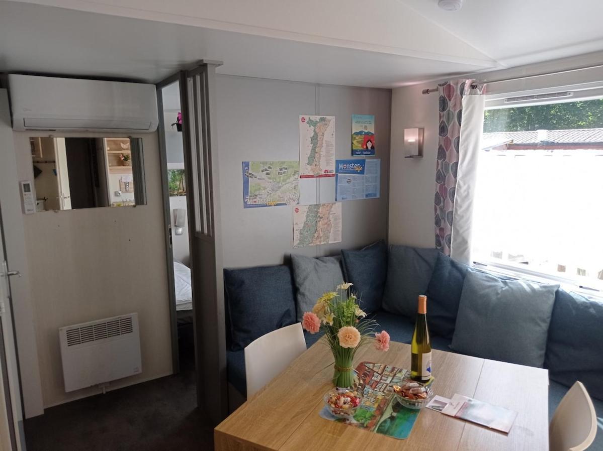 Plaisirs D'alsace - Munster - Colmar - Route Du Vin *
