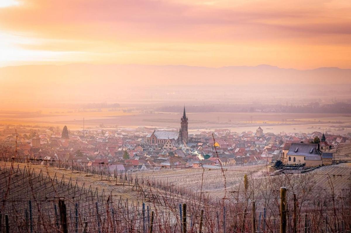 Plaisirs D'alsace - Munster - Colmar - Route Du Vin Ferienhaus *