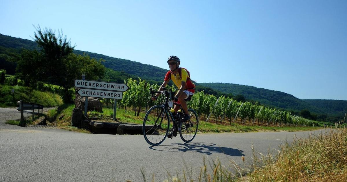 Plaisirs D'alsace - Munster - Colmar - Route Du Vin * Munster (Haut-Rhin)