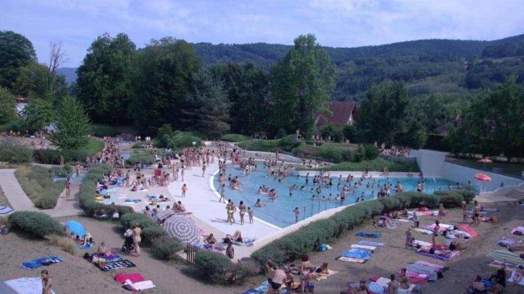 Plaisirs D'alsace - Munster - Colmar - Route Du Vin Holiday home *
