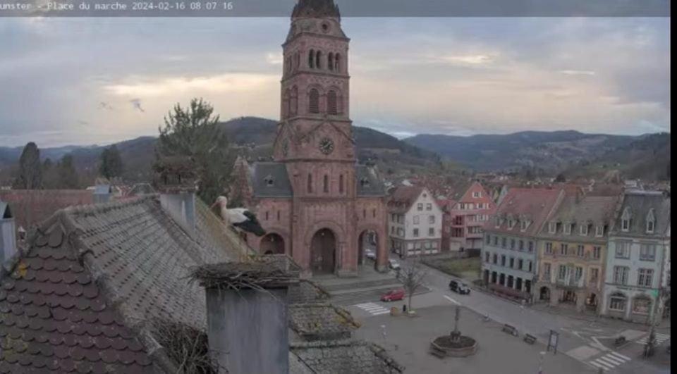 Plaisirs D'alsace - Munster - Colmar - Route Du Vin