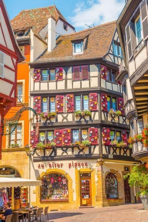 Plaisirs D'alsace - Munster - Colmar - Route Du Vin Munster (Haut-Rhin)