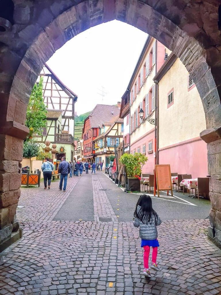Plaisirs D'alsace - Munster - Colmar - Route Du Vin * Munster (Haut-Rhin)