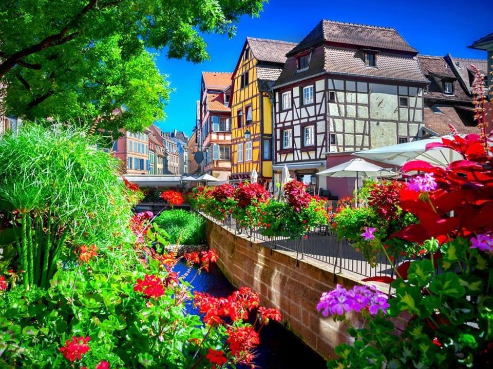 Ferienhaus Plaisirs D'alsace - Munster - Colmar - Route Du Vin