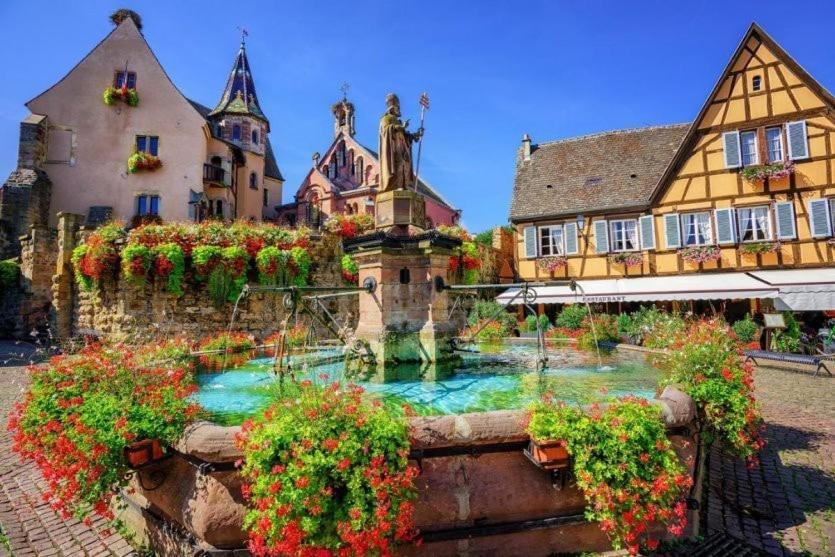 Holiday home Plaisirs D'alsace - Munster - Colmar - Route Du Vin *